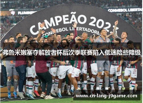弗鲁米嫩塞夺解放者杯后次季联赛陷入低迷险些降级